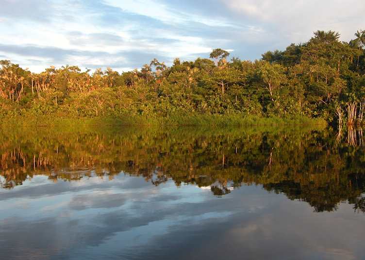 Black Water Lake, Amazon, Ecuador