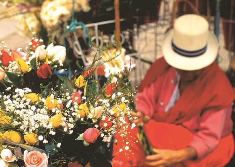 Flower Market, Cuenca