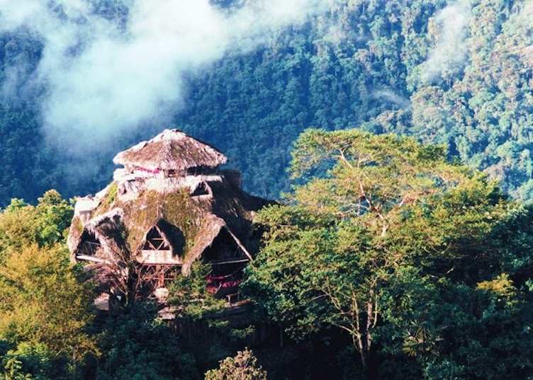 Bellavista Cloud Forest Reserve, Bellavista