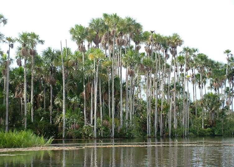 Lake Sandoval