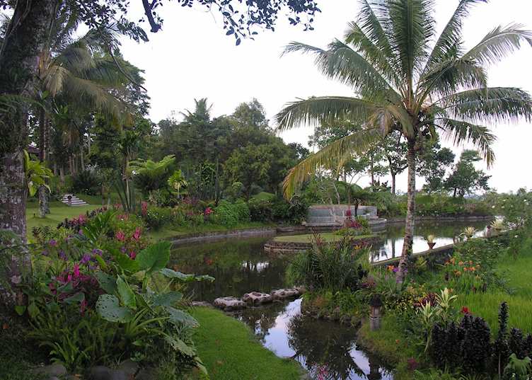 Ijen Resort & Villas, Ijen National Park