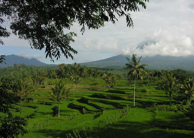 Volcano view, Yogyakarta, Java, Indonesia