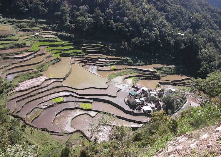 Hill village in the rice terraces, Banaue