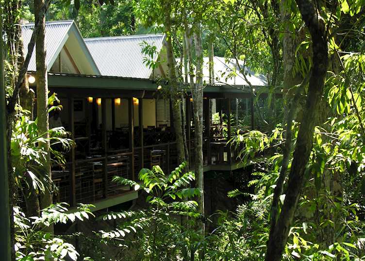 Treetop restaurant, Silky Oaks