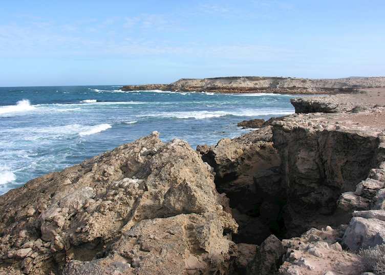 Baird Bay, Eyre Peninsula, South Australia