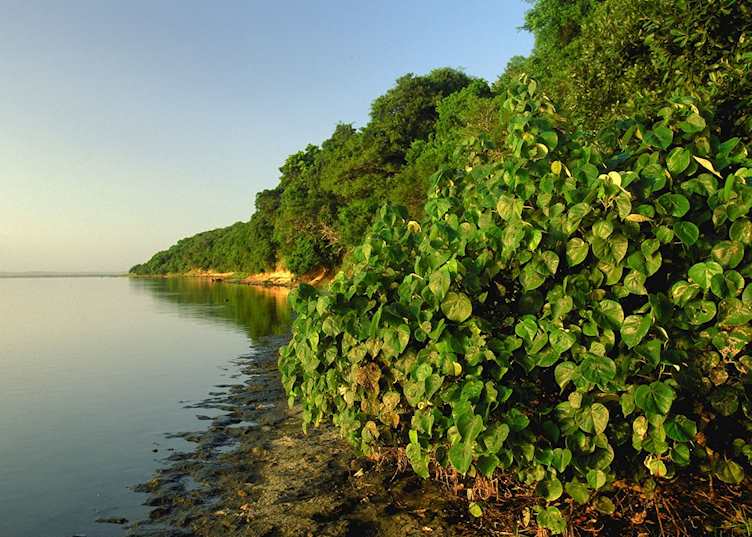 Greater St. Lucia Wetland Park, South Africa