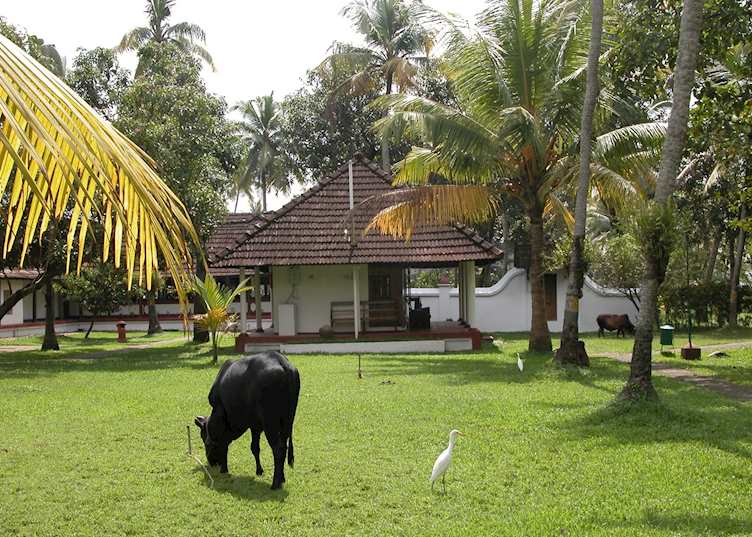 Coconut Lagoon Resort, Kumarakom