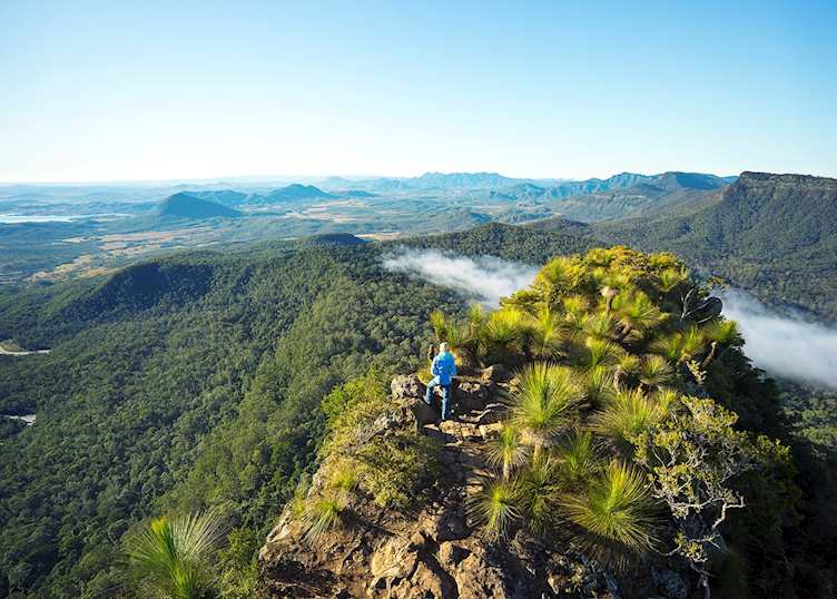 Scenic Rim Bushwalk at Spicers Peak