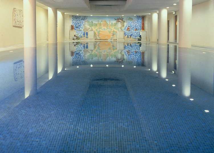 Pool, The Merrion