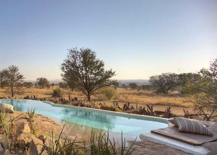 Pool at Sayari Camp 