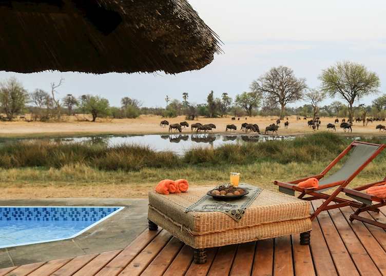 Waterhole views, Bomani Tented Lodge