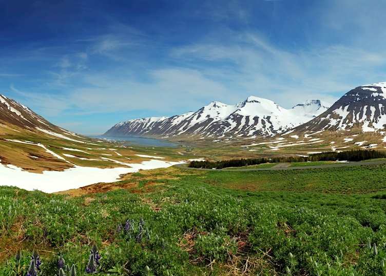 Eastfjords