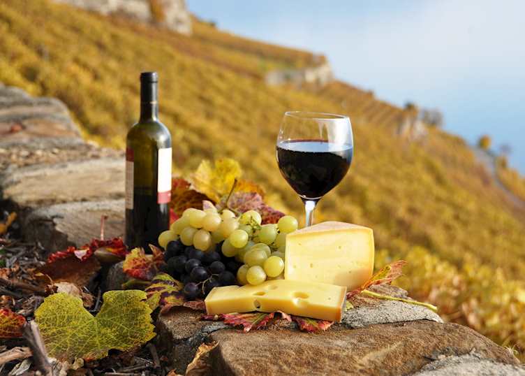 Lavaux wine tour, Montreux