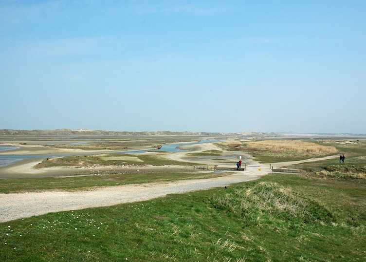 Zwin Nature Park, Belgium