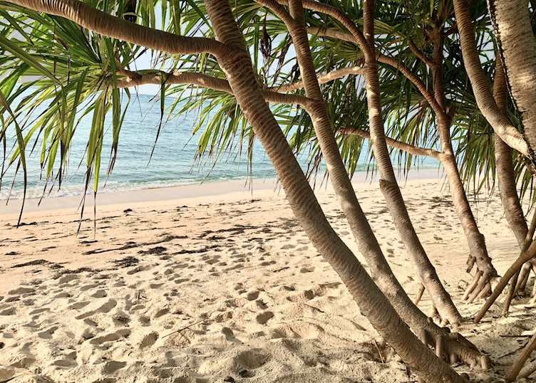 Beach at Cardamom House, Kenya