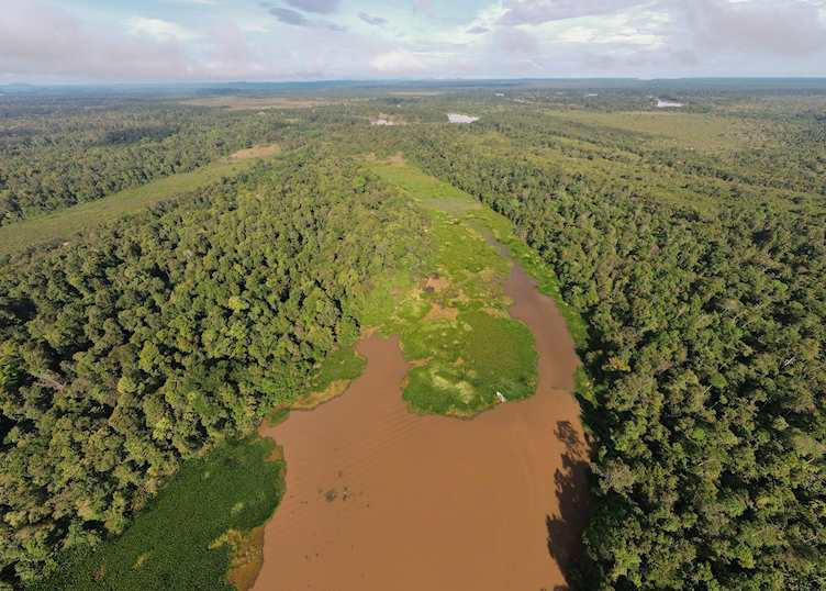 Kinabatangan Wetlands Resort
