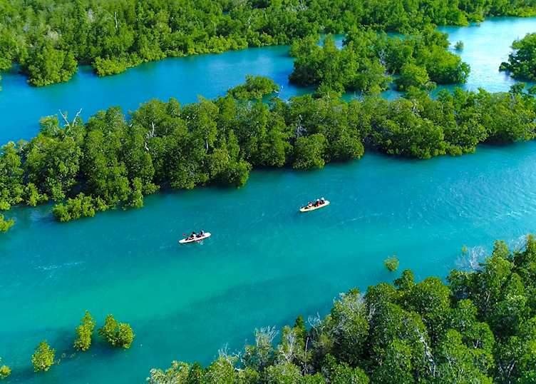 Kayaking in the mangroves from Anjajavy le Lodge