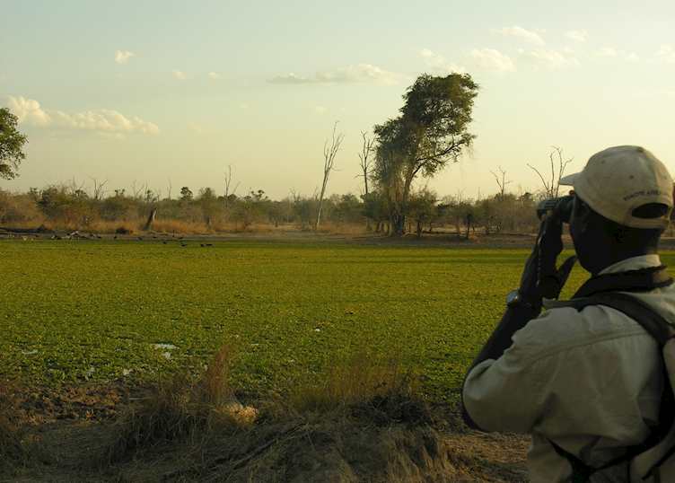 Walking safari in North Luangwa