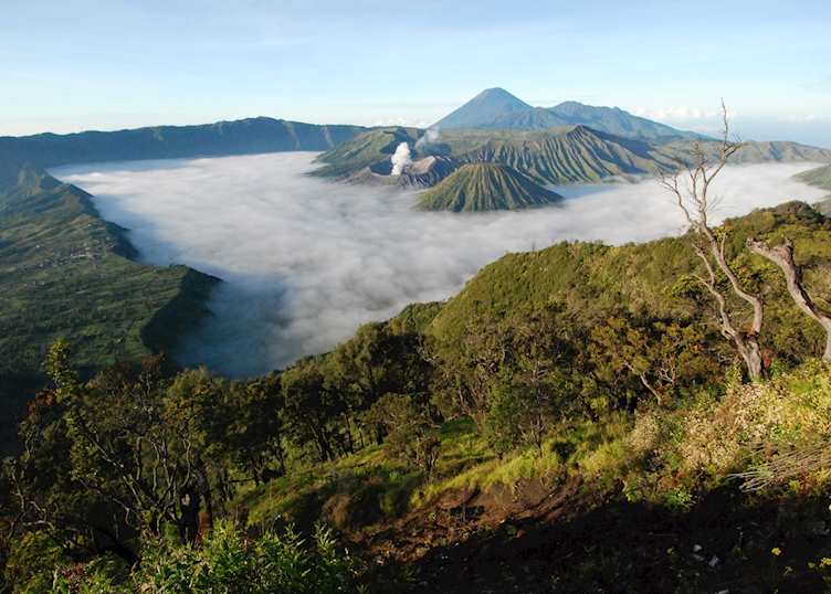 Mount Bromo, Indonesia