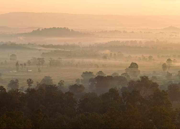 Parkland near Shergarh, Kanha National Park