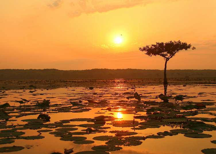Sunrise at Lake Martin, Lafayette