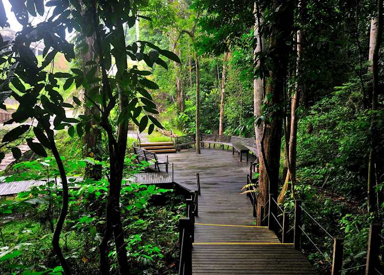 Boardwalk area at My Nature Resort