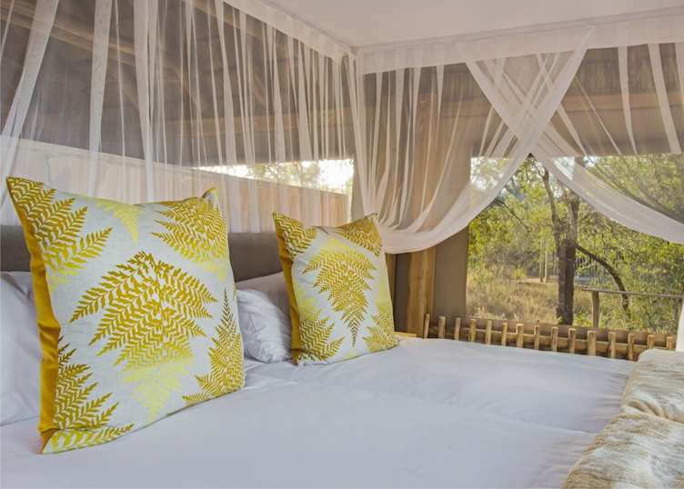 Bateleur Safari Camp, Timbavati Private Game Reserve