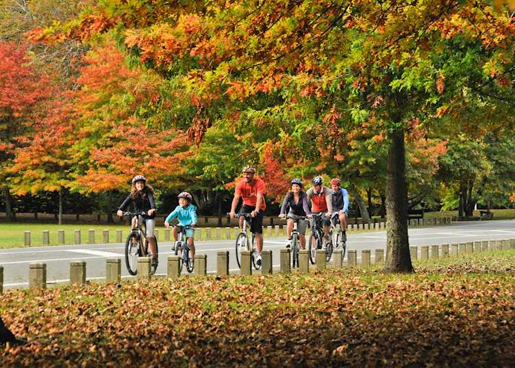 Biking around Nelson