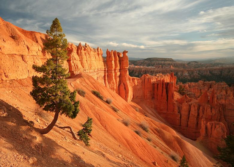 Peekaboo Loop Trail, Bryce Canyon National Park Peekaboo Loop Trail, Bryce Canyon National Park