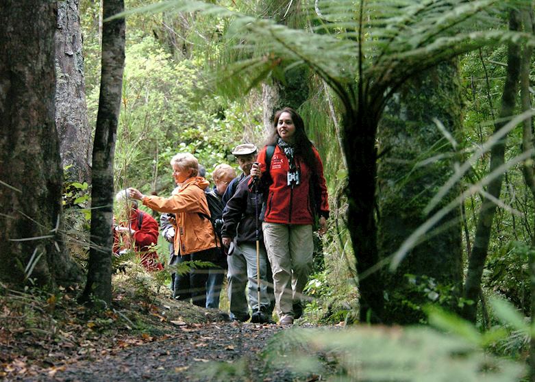 Walking through the forest, Ulva Island Walking through the forest, Ulva Island