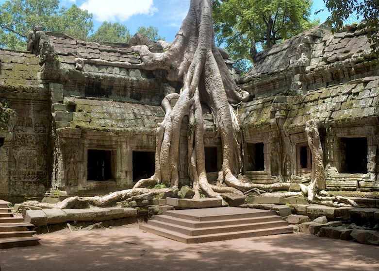 Ta Prohm, Siem Reap Ta Prohm, Siem Reap