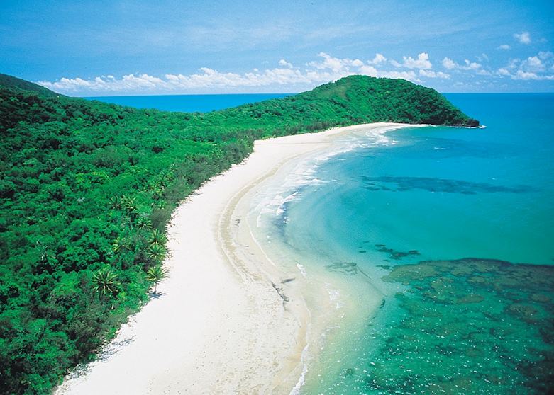 Cape Tribulation, Cape Tribulation by appointment with Downunder Tours Cape Tribulation, Cape Tribulation by appointment with Downunder Tours