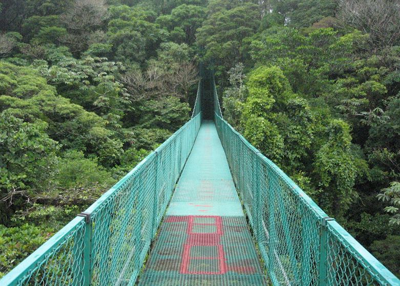 Canopy walkway at Selvatura Canopy walkway at Selvatura