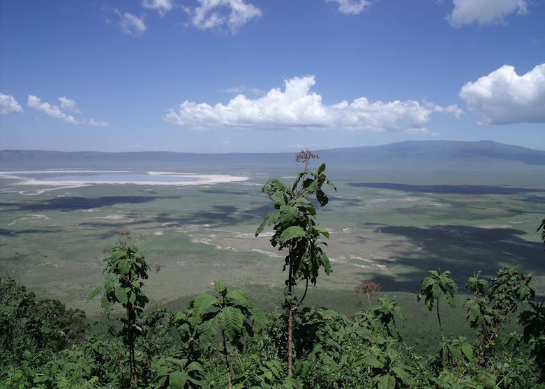 Ngorongoro Crater Ngorongoro Crater