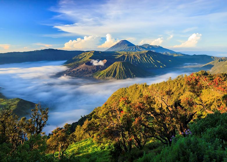 Mount Bromo Mount Bromo