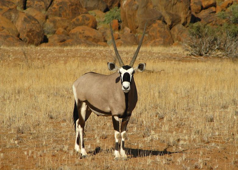 NamibRand Nature Reserve, Namibia NamibRand Nature Reserve, Namibia