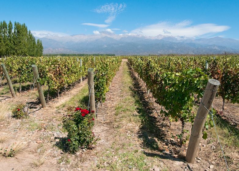 Mendoza, Argentina Mendoza, Argentina