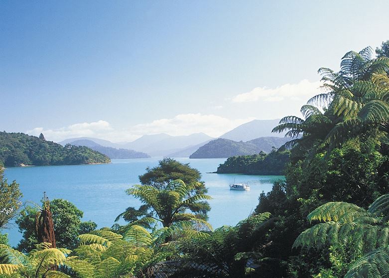 The Marlborough Sounds, New Zealand The Marlborough Sounds, New Zealand