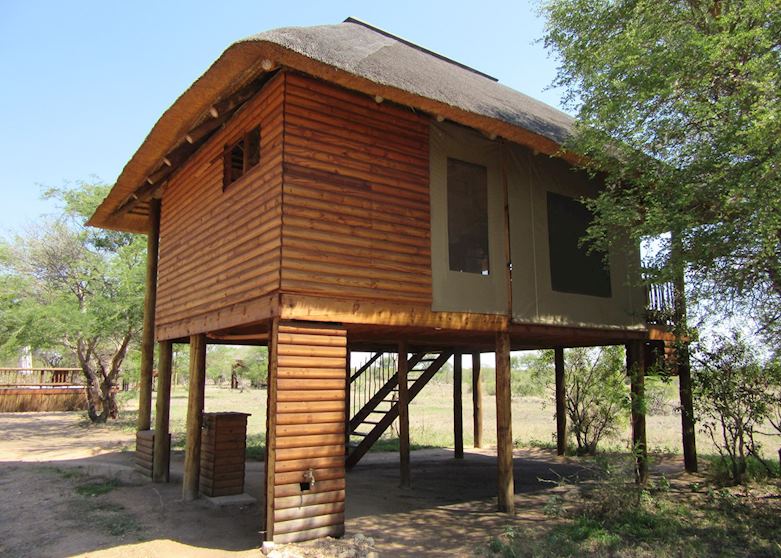 Nthambo