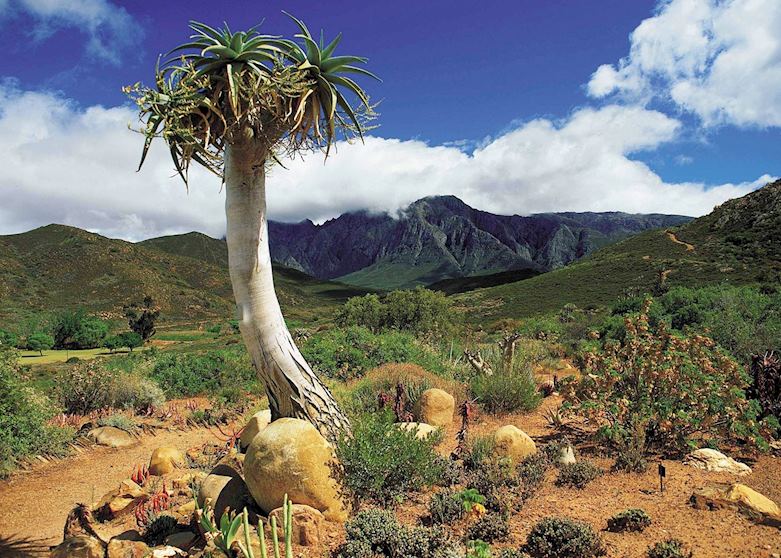 Oudtshoorn, South Africa