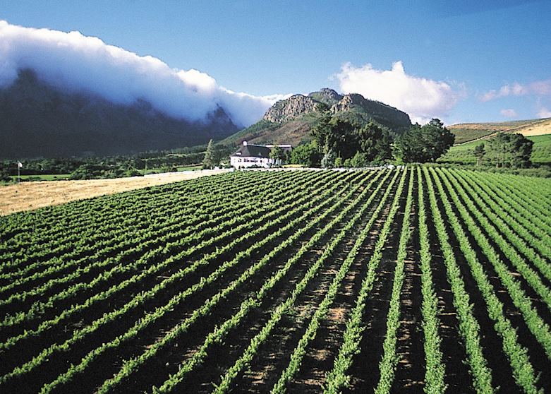 Mont Rochelle, Franschhoek