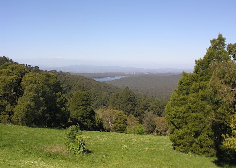 Dandenong Ranges, Victoria