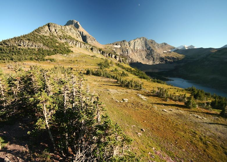Trail to Hidden Lake, Glacier National Park Trail to Hidden Lake, Glacier National Park