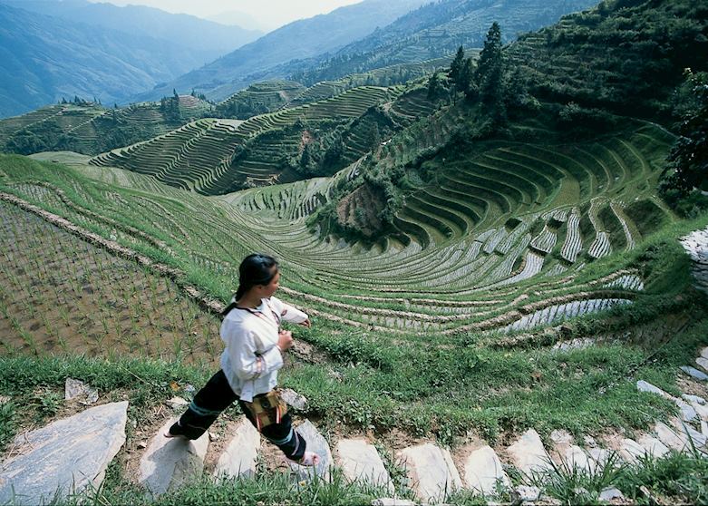 Dragon's Backbone Rice terraces, Longji Dragon's Backbone Rice terraces, Longji