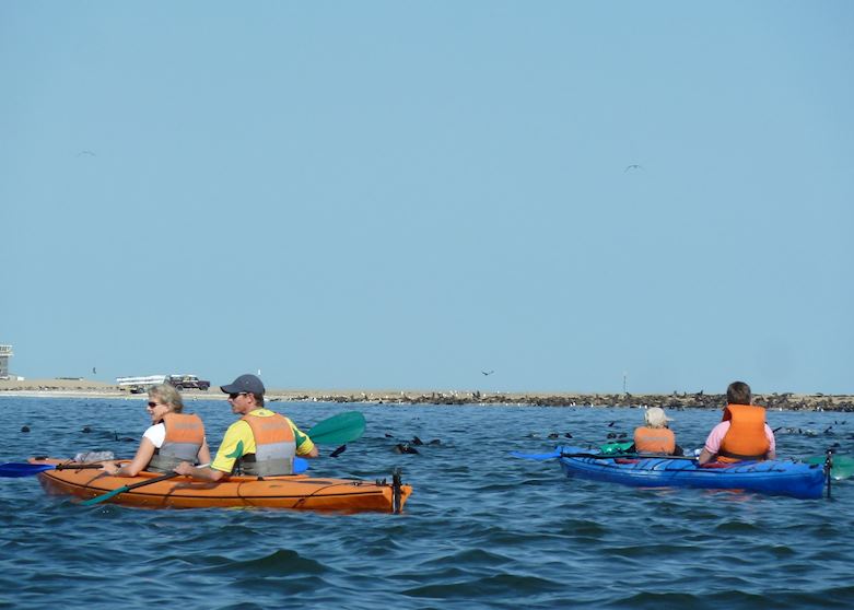 Kayaking With Seals, Pelican Point Kayaking With Seals, Pelican Point