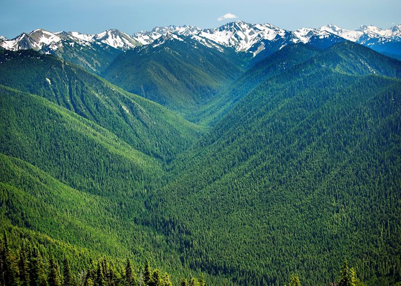 Hurricane Ridge Olympic National Park Hurricane Ridge Olympic National Park