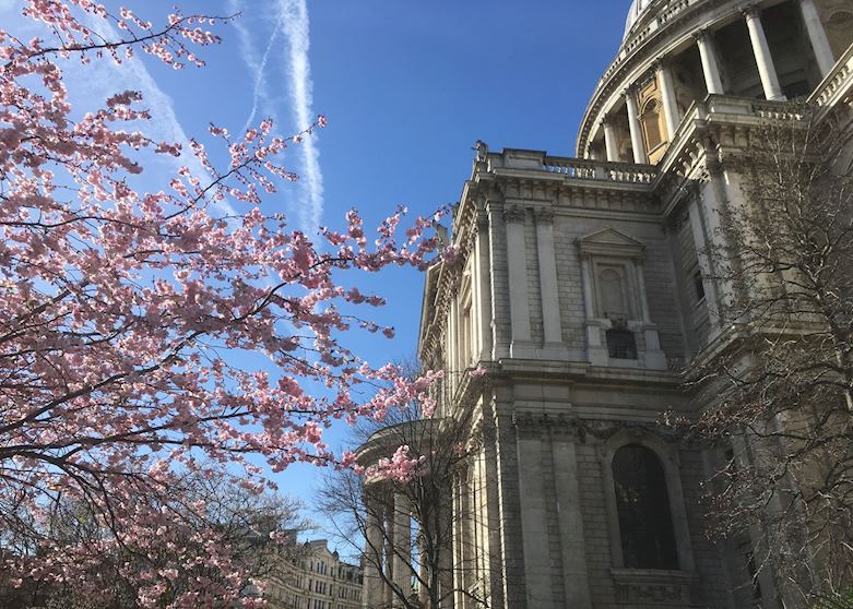 St Paul's Cathedral