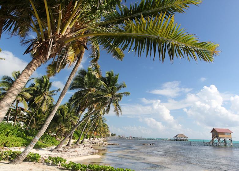Coast of Belize