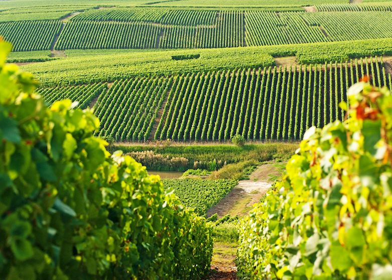 Champagne, France