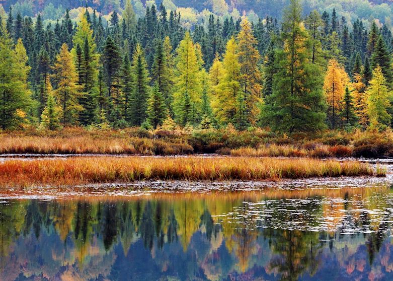 Algonquin Provincial Park Algonquin Provincial Park